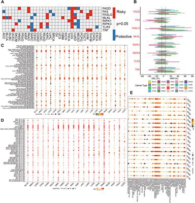 Systematic analysis of the necroptosis index in pan-cancer and classification in discriminating the prognosis and immunotherapy responses of 1716 glioma patients